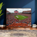 Auburn Stadium Wall Art Canvas Print, Jordan Hare Stadium by MyGreatCanvas | Canvas Wall Art Prints | Photo Prints & Wall Decor