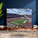 Georgia Bulldogs Stadium Wall Art Canvas Print, Sanford by MyGreatCanvas | Canvas Wall Art Prints | Photo Prints & Wall Decor