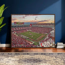 Donald W. Reynolds Razorback Stadium Wall Art Canvas Print – by MyGreatCanvas | Canvas Wall Art Prints | Photo Prints & Wall Decor