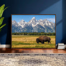 Bison in Mountain Landscape Wall Art Canvas Print – Western by MyGreatCanvas | Canvas Wall Art Prints | Photo Prints & Wall Decor