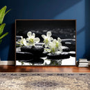 Plumeria Frangipani Black Stone Canvas | White Flower Spa by MyGreatCanvas | Canvas Wall Art Prints | Photo Prints & Wall Decor
