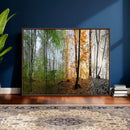 Four Seasons Wall Art Forest Canvas Print – Triptych