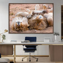 Lion Pair Wall Art Canvas Print – Framed Wildlife Scene with