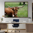 Longhorn Steer Canvas Wall Art – Rustic Nature Triptych