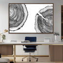 Abstract Large Tree Rings – Minimalist Black and White Wood