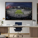 Penn State University Nittany Lions Football Team Print -