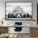 Resting Grizzly Bear Wall Art Canvas Print – Majestic Lazy by MyGreatCanvas | Canvas Wall Art Prints | Photo Prints & Wall Decor