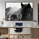 Black Horse in Snow Canvas Print | Winter Horse Wall Art |