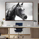 Horse Canvas Print - Winter Horse Snow Wall Art Canvas Print by MyGreatCanvas | Canvas Wall Art Prints | Photo Prints & Wall Decor