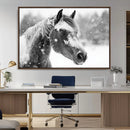 Black Horse Winter Wall Art | Ready to Hang and Framed |