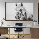 White Horse Wall Art | Ready to Hang and Framed | Winter