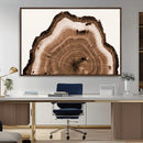 Rustic Wood Rings Wall Art | Nature-Inspired Tree Ring