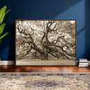 Sepia Framed Angel Oak Tree Wall Art - 3-Panel Canvas