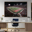 Houston Cougars Football Team Print - Houston TDECU Stadium