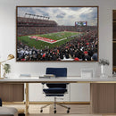 Rutgers Scarlet Knights Football Team Print - SHI Stadium,