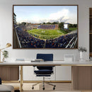 The Duke University Blue Devils Football Team Print - Durham