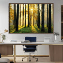Sunlit Forest Wall Art Canvas Print – Large Framed Woodland