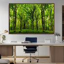 Lush Green Forest Canvas Print | 3-Panel Forest Wall Art |