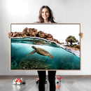 Sea Turtle Wall Art Canvas Print – Framed Ocean Life