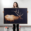 Bull Elk Decor Wall Art Canvas Print – Framed Elk by MyGreatCanvas | Canvas Wall Art Prints | Photo Prints & Wall Decor