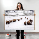 Bison Herd Wall Art Canvas Print – Framed Western Wildlife by MyGreatCanvas | Canvas Wall Art Prints | Photo Prints & Wall Decor