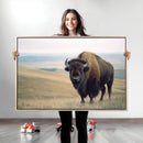 Bison Wall Art Canvas Print – Framed Buffalo Canvas Picture by MyGreatCanvas | Canvas Wall Art Prints | Photo Prints & Wall Decor