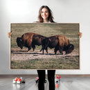 Bison Wall Art Canvas Print – Framed Western Wildlife Art by MyGreatCanvas | Canvas Wall Art Prints | Photo Prints & Wall Decor
