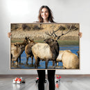 Wild Elk Wall Art Canvas Print – Framed Neutral Wildlife by MyGreatCanvas | Canvas Wall Art Prints | Photo Prints & Wall Decor