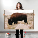 Western Wildlife Wall Art Canvas Print, Majestic Wilderness by MyGreatCanvas | Canvas Wall Art Prints | Photo Prints & Wall Decor
