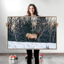 Wild Elk Wall Art Canvas Print – Framed Winter Wildlife by MyGreatCanvas | Canvas Wall Art Prints | Photo Prints & Wall Decor