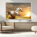 Large Wall Art Galloping White Horse at Sunset Canvas Print