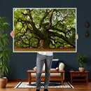 Angel Oak Tree Wall Art Canvas Print | Forest Tree Nature