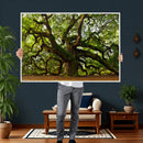 Angel Oak Tree Wall Art Canvas Print | Forest Tree Nature