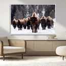 Bison Wall Art Canvas Print- Bison Herd Canvas Wall Art –