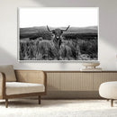 Black and White Highland Cow Canvas Wall Art, Longhorn by MyGreatCanvas | Canvas Wall Art Prints | Photo Prints & Wall Decor