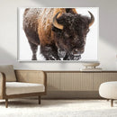 Bison Wall Art Canvas Print For Farmhouse, Wild Animal Wall by MyGreatCanvas | Canvas Wall Art Prints | Photo Prints & Wall Decor