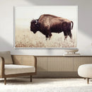 Bison in Field Wall Art Canvas Print For Farmhouse Barn