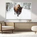 Bison Wall Art Canvas Print For Farmhouse, Animal Canvas