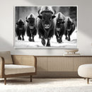 American Bison Art | Buffalo Herd Wall Art Canvas Print, BW