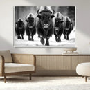 American Bison Art | Buffalo Herd Wall Art Canvas Print, BW by MyGreatCanvas | Canvas Wall Art Prints | Photo Prints & Wall Decor