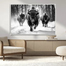 Buffalo Wall Art Canvas Print, Bison Family Wall Art Canvas by MyGreatCanvas | Canvas Wall Art Prints | Photo Prints & Wall Decor