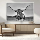 Texas Longhorn Cow Wall Art, Texas Longhorn Canvas, Cattle