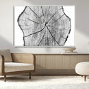 Rustic Tree Ring Wall Art Canvas Print – Framed and Ready to