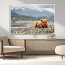 Highland Cow Horn Farm Wall Art Canvas Print