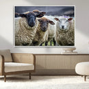 Charming Sheep Portrait Wall Art – Trio of Woolly Companions by MyGreatCanvas | Canvas Wall Art Prints | Photo Prints & Wall Decor