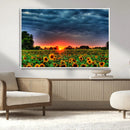Golden Sunflower Field at Sunset – Breathtaking Sky and