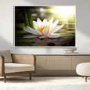 Lotus Flower Wall Art Canvas Print, Water Lily Large Wall