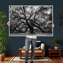 Black and White Old Angel Oak Tree Wall Art Canvas Print