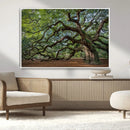 Historic Tree Wall Art – Framed Mossy Branch Canvas Artwork, by MyGreatCanvas | Canvas Wall Art Prints | Photo Prints & Wall Decor