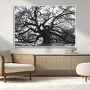 Ancient Oak Wall Art Canvas Print – Gnarled Tree Twisted by MyGreatCanvas | Canvas Wall Art Prints | Photo Prints & Wall Decor